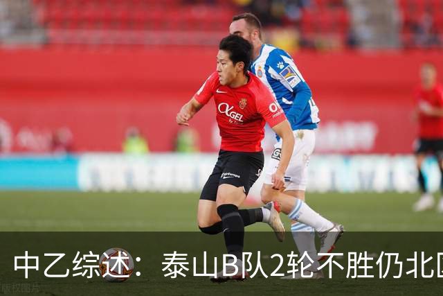 中乙综述：泰山B队2轮不胜仍北区第2，贵阳竞技告负蒲公英战平